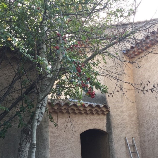  SISYPHE immobilier : Maison / Villa | LE THOLONET (13100) | 130 m2 | 613 000 € 