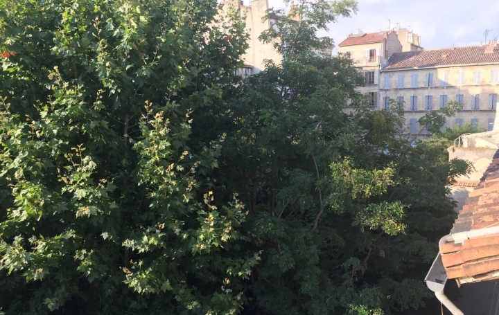  SISYPHE immobilier Appartement | MARSEILLE (13001) | 36 m2 | 155 000 € 